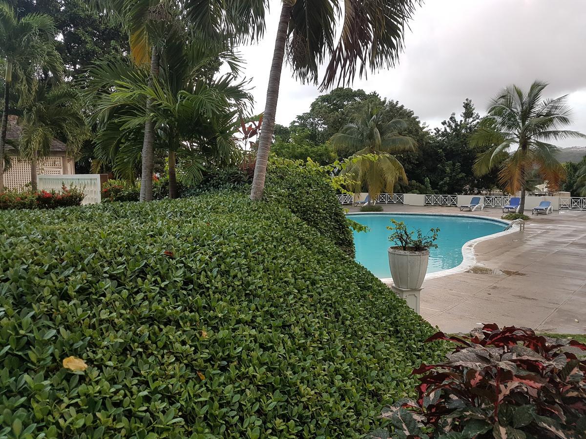 Skycastle Oasis Apartment Ocho Rios